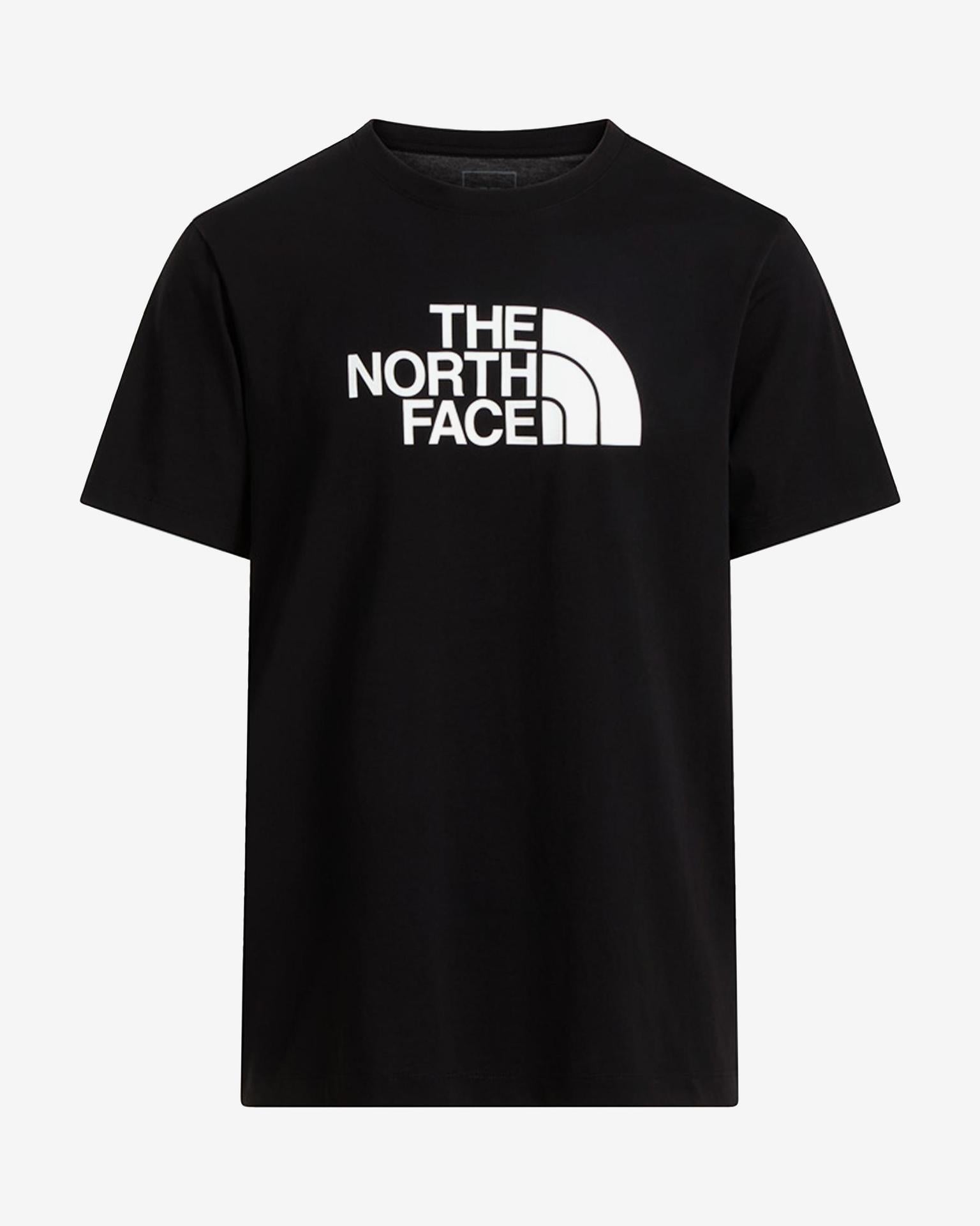 TNF Graphic logo
